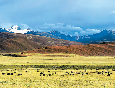 四川理塘：讓更多游客走進(jìn)“天空之城”