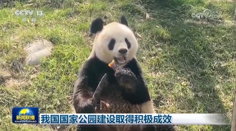 我國國家公園建設取得積極成效