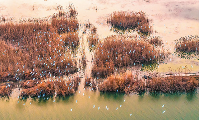 保護(hù)生物多樣性 中國(guó)繪出“路線圖”