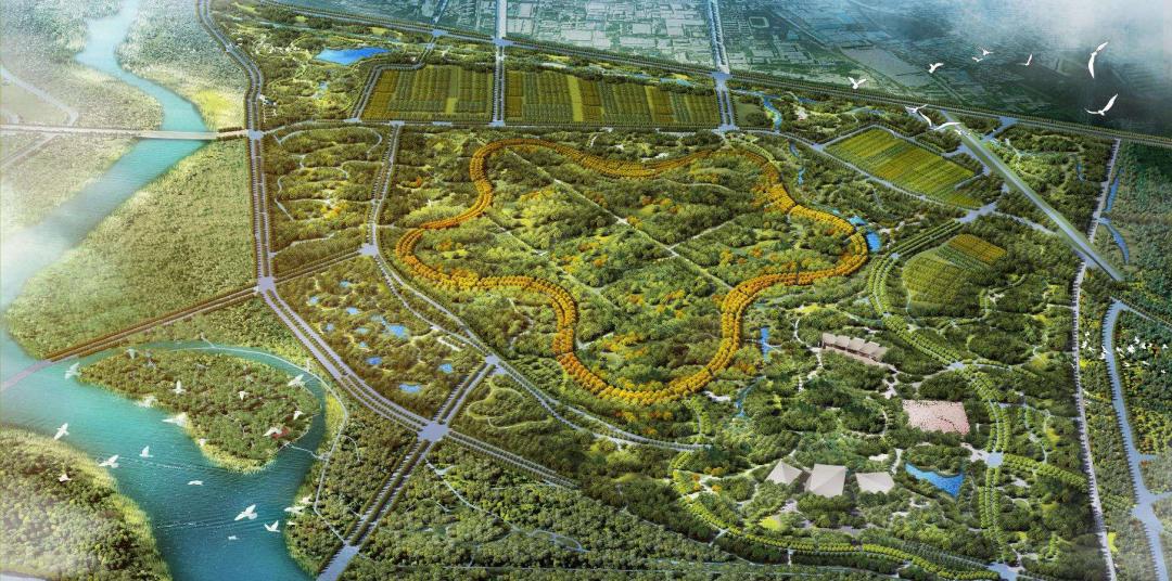 北京城市副中心:一張規(guī)劃圖 照亮蝶變路