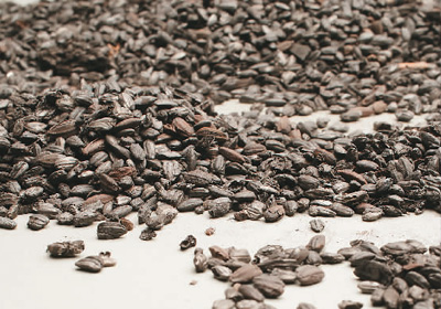 探訪良渚國家考古遺址公園