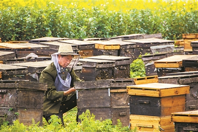 我國(guó)林草產(chǎn)業(yè)健康發(fā)展