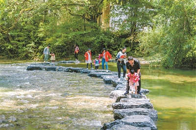 我國(guó)林草產(chǎn)業(yè)健康發(fā)展