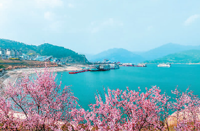 “春游經濟”熱度持續攀升