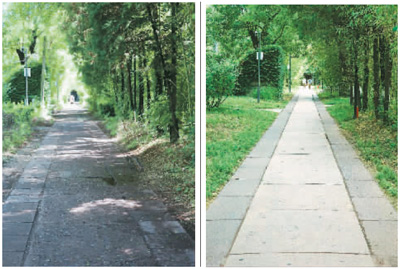 校園遺產保護實踐:北京大學燕南園歷史景觀