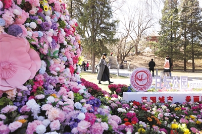 北京市推動(dòng)花園城市建設(shè),5個(gè)區(qū)開展試點(diǎn)工作