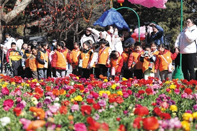 北京市推動(dòng)花園城市建設(shè),5個(gè)區(qū)開展試點(diǎn)工作