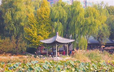 北京市推動(dòng)花園城市建設(shè),5個(gè)區(qū)開展試點(diǎn)工作