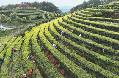 “綠色”名片如何為城市旅游加分