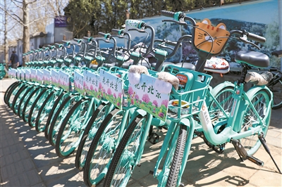 2024全民賞花季暨北京森林文化系列活動啟動