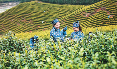 滿足游客品質化個性化需求 定制游市場正升溫