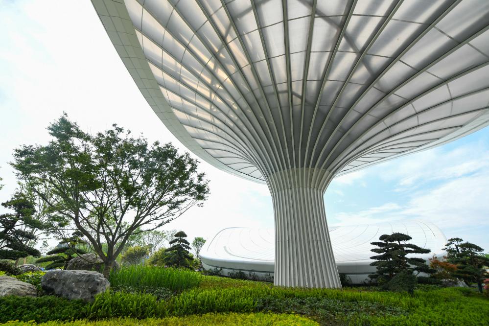 成都世園會：園藝+科技，這些場景很奇妙