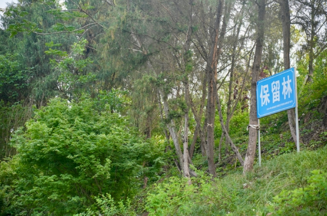 成都世園會如何低碳？記者實(shí)地探訪