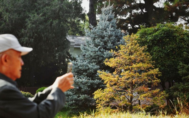 綠化彩化行動將北京打造成濃蔭繁花的畫卷