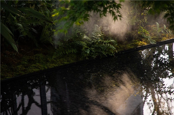 DEAL德珈設計丨麓湖W2悅溪樣板島