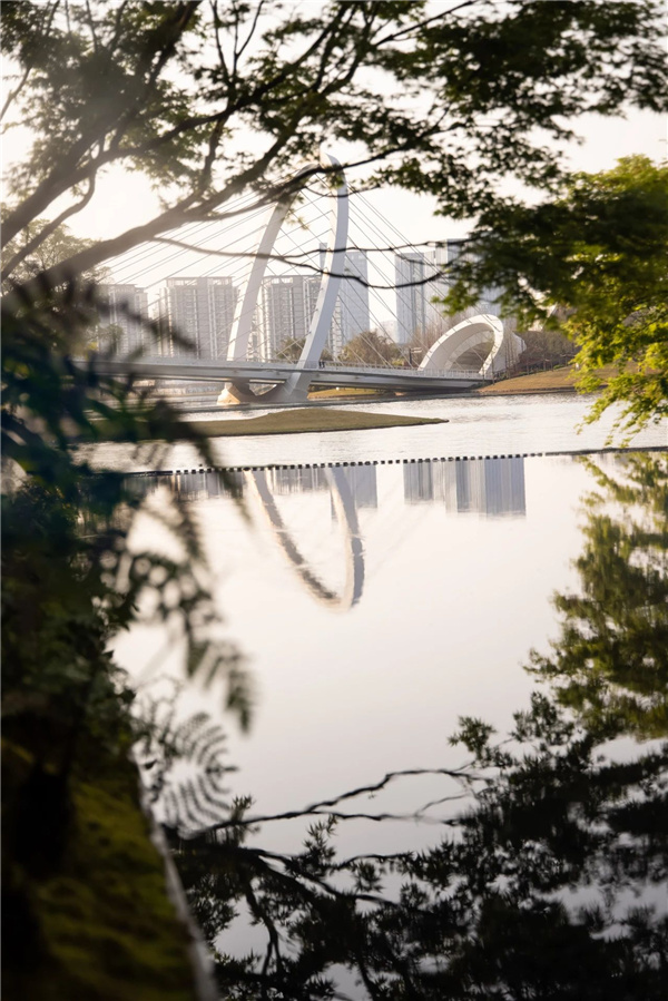 DEAL德珈設計丨麓湖W2悅溪樣板島