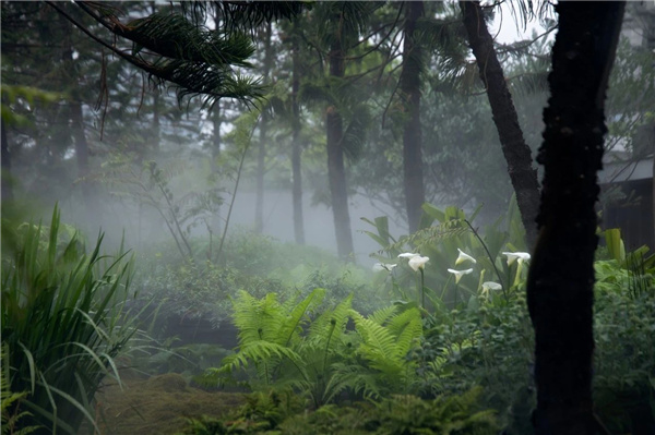 DEAL德珈設計丨麓湖W2悅溪樣板島