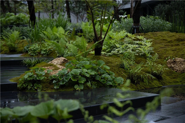 DEAL德珈設計丨麓湖W2悅溪樣板島