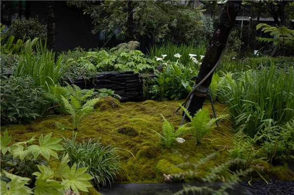 DEAL德珈設計丨麓湖W2悅溪樣板島