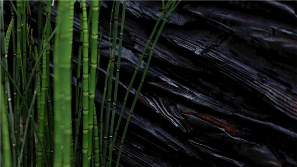 DEAL德珈設計丨麓湖W2悅溪樣板島