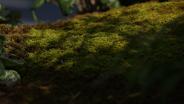 DEAL德珈設計丨麓湖W2悅溪樣板島