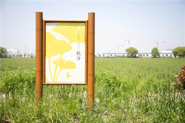 平介設(shè)計丨震澤“五美三優(yōu)”鄉(xiāng)村景觀改造