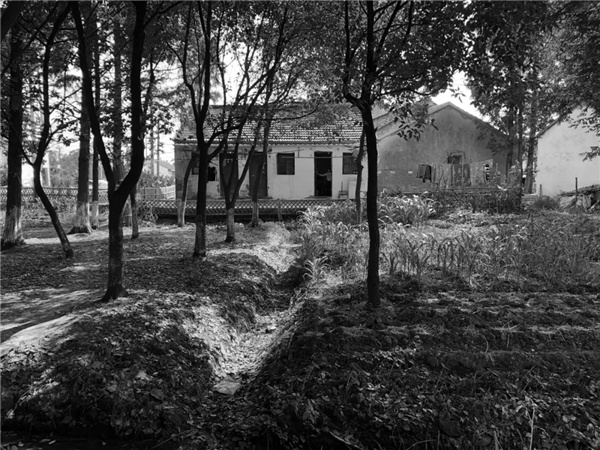 平介設(shè)計丨震澤“五美三優(yōu)”鄉(xiāng)村景觀改造