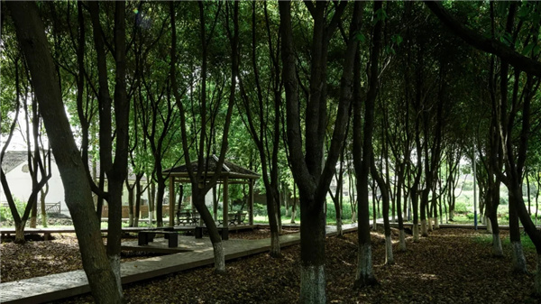 平介設(shè)計丨震澤“五美三優(yōu)”鄉(xiāng)村景觀改造