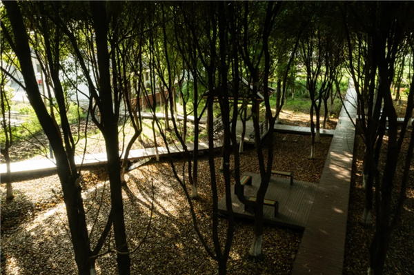 平介設(shè)計丨震澤“五美三優(yōu)”鄉(xiāng)村景觀改造