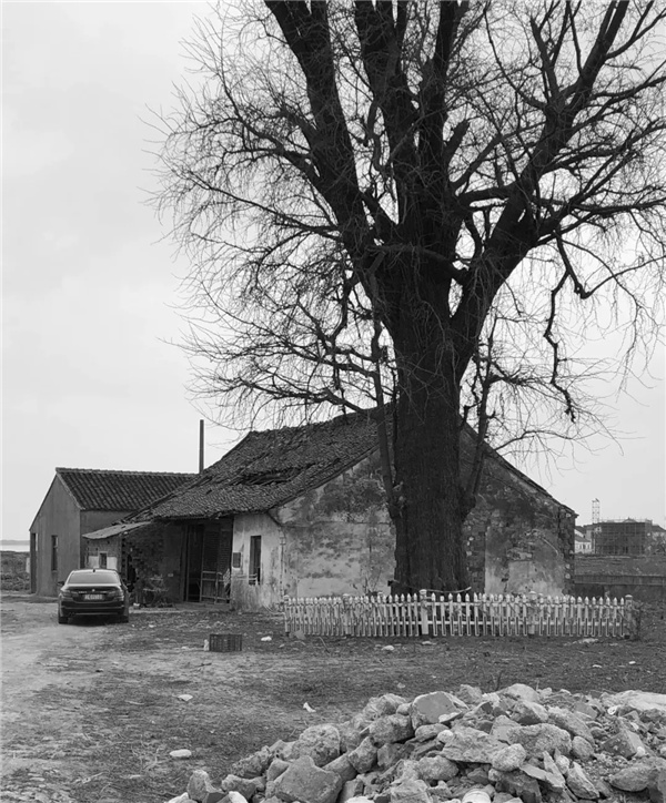 平介設(shè)計丨震澤“五美三優(yōu)”鄉(xiāng)村景觀改造