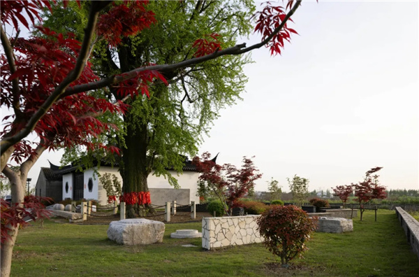 平介設(shè)計丨震澤“五美三優(yōu)”鄉(xiāng)村景觀改造