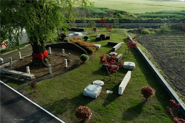 平介設(shè)計丨震澤“五美三優(yōu)”鄉(xiāng)村景觀改造