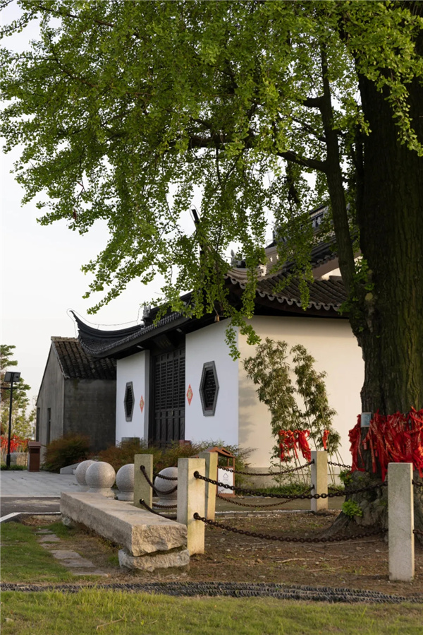平介設(shè)計丨震澤“五美三優(yōu)”鄉(xiāng)村景觀改造