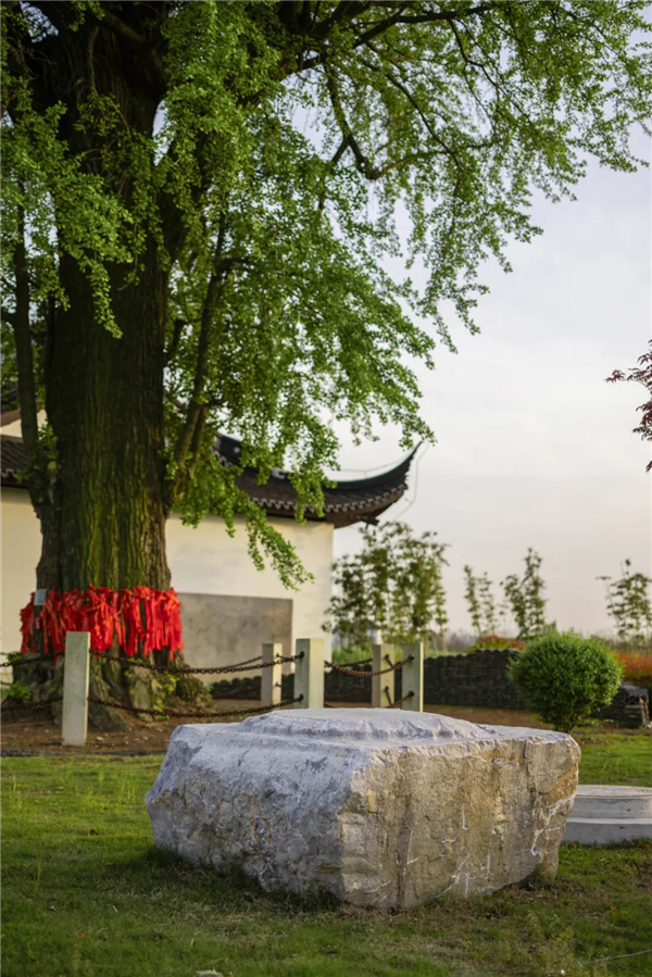 平介設(shè)計丨震澤“五美三優(yōu)”鄉(xiāng)村景觀改造