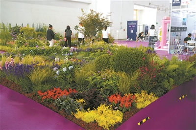 國際花卉園藝展盡顯中國范兒