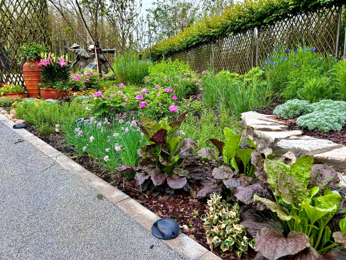 成都農(nóng)業(yè)科技職業(yè)學(xué)院展園