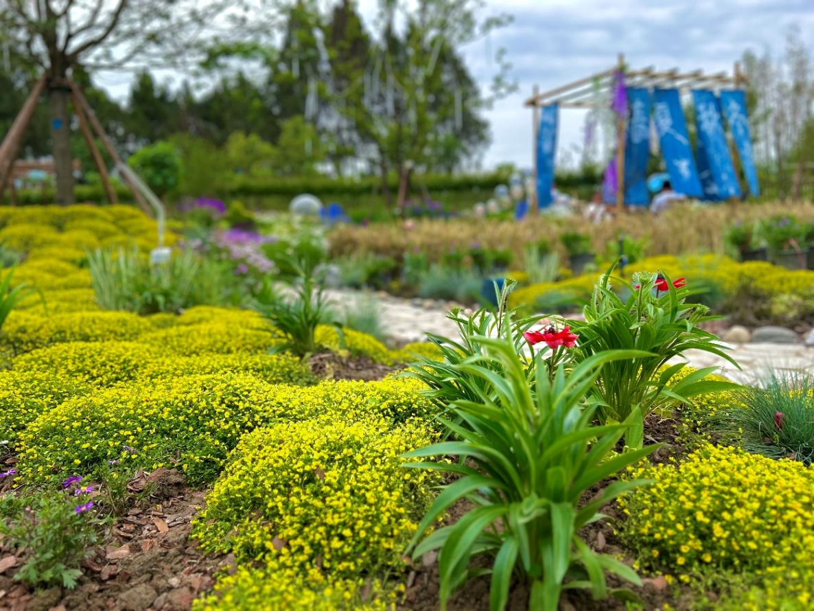 成都農(nóng)業(yè)科技職業(yè)學(xué)院展園