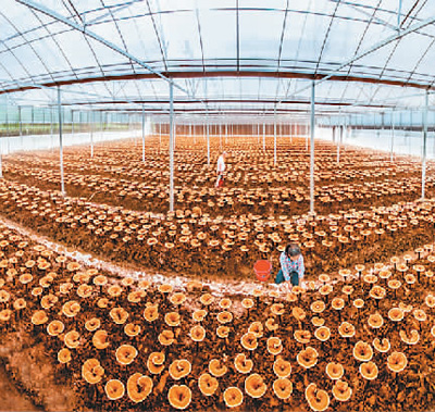 生態文明視角下的文化和自然遺產保護