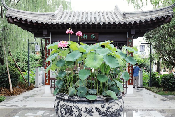 “行業(yè)媒體成都世園行”看見不一樣的世園會