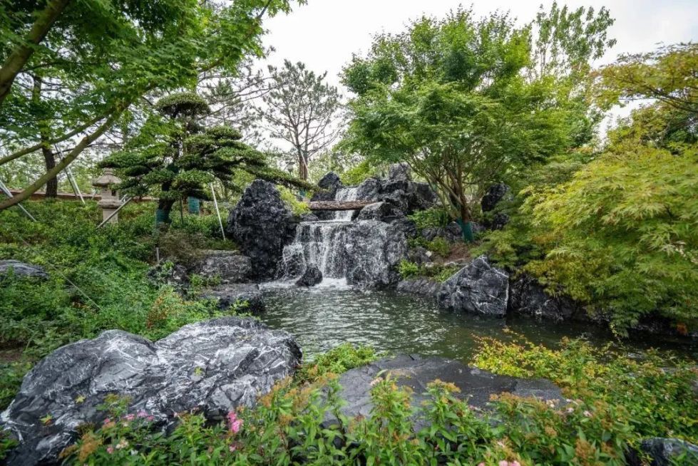 上海世博文化公園“花藝園”完成竣工驗收