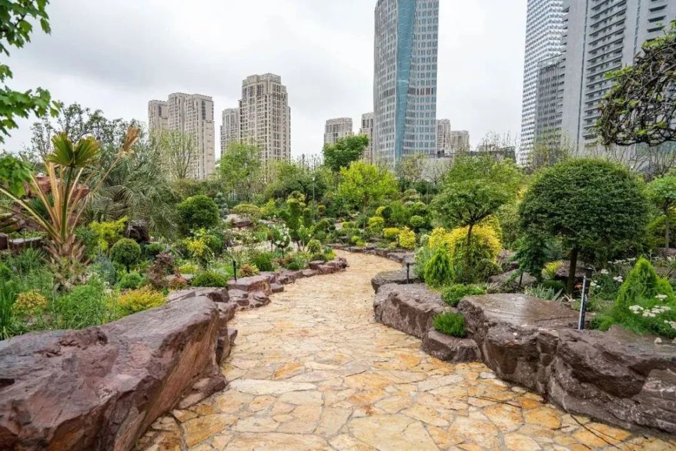 上海世博文化公園“花藝園”完成竣工驗收