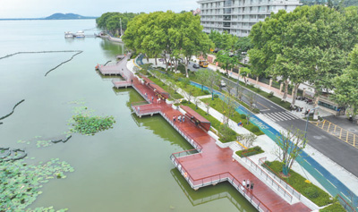 武漢:跟著跑友看綠道 感受東湖生態美