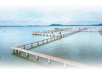 武漢:跟著跑友看綠道 感受東湖生態美