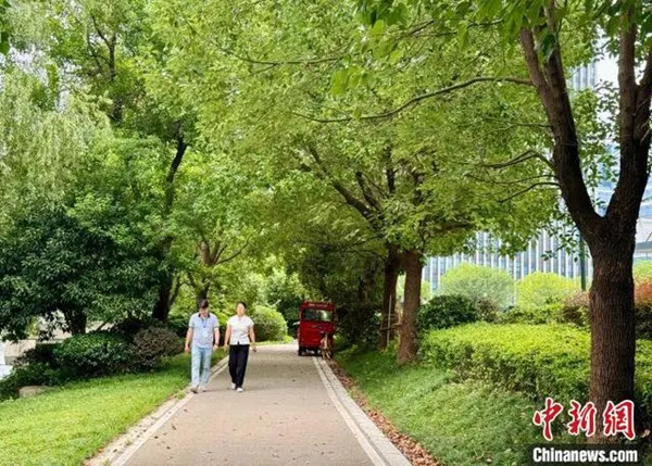 “公園20分鐘效應(yīng)”火爆盛夏 年輕人被大自然治愈