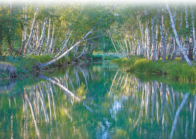 搭建文旅新場(chǎng)景:阿勒泰,牧歌聲里看草原