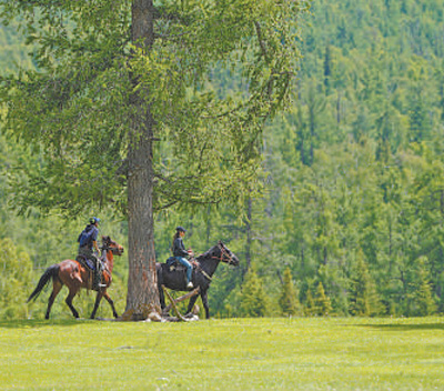 搭建文旅新場(chǎng)景:阿勒泰,牧歌聲里看草原