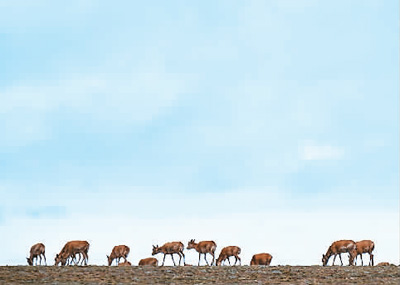 世界自然遺產(chǎn)和文化自然雙遺產(chǎn)展現(xiàn)“中國精彩”