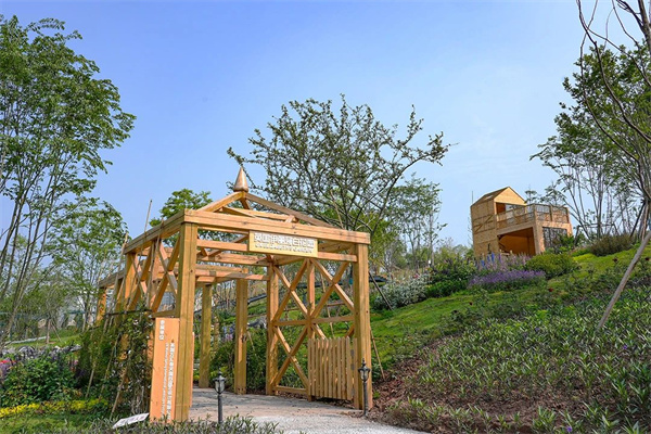 成都世園會邀八方來客中秋共赴“花”約！