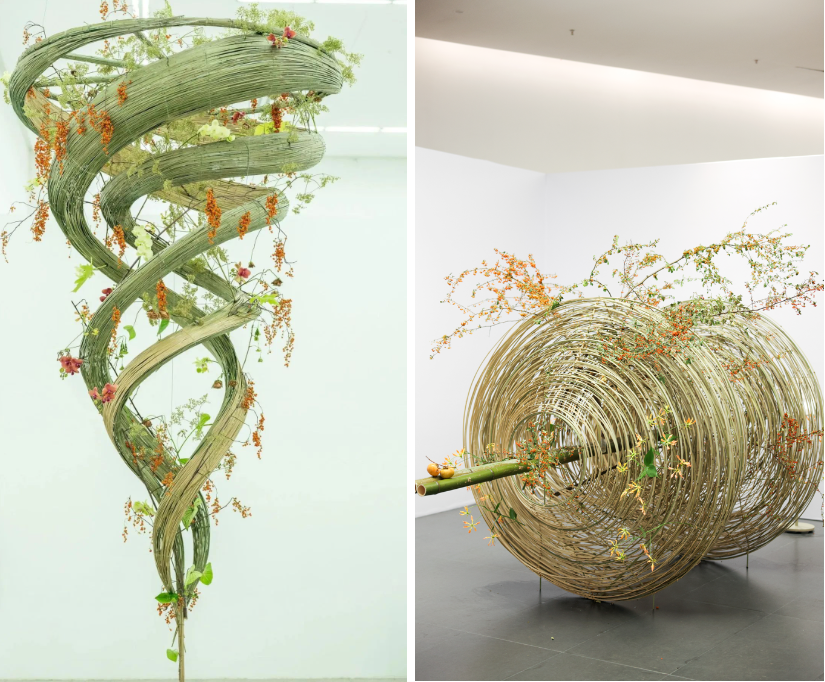 在成都世園會赴一場花與藝術的多元“對話”