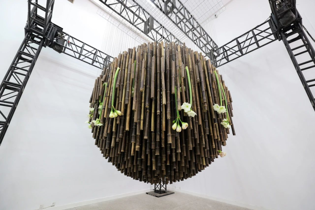 在成都世園會赴一場花與藝術的多元“對話”